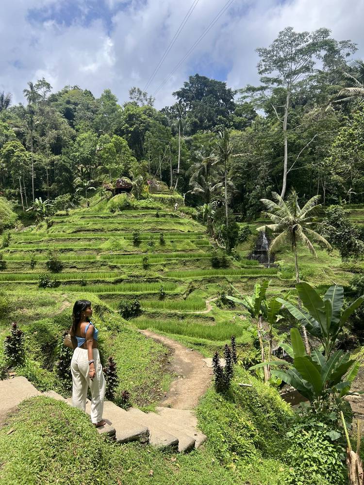 Walking down into the terraces