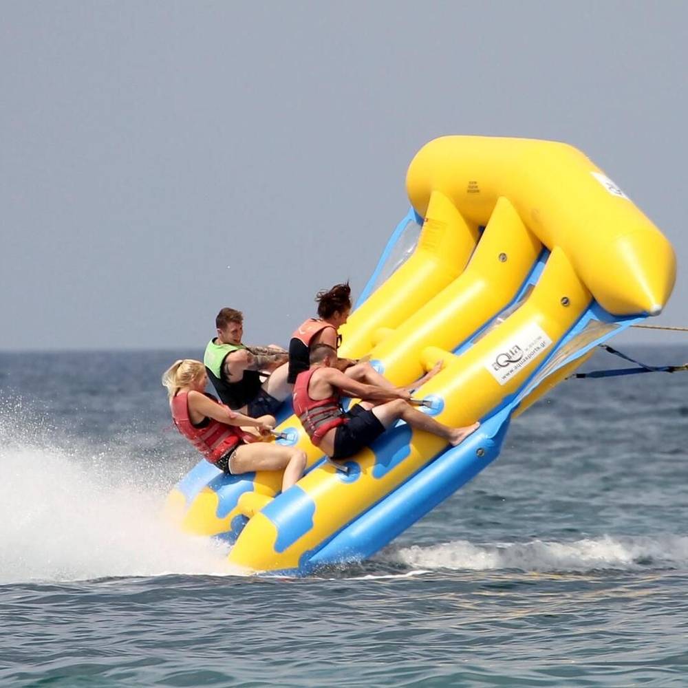 Flying fish, holding on