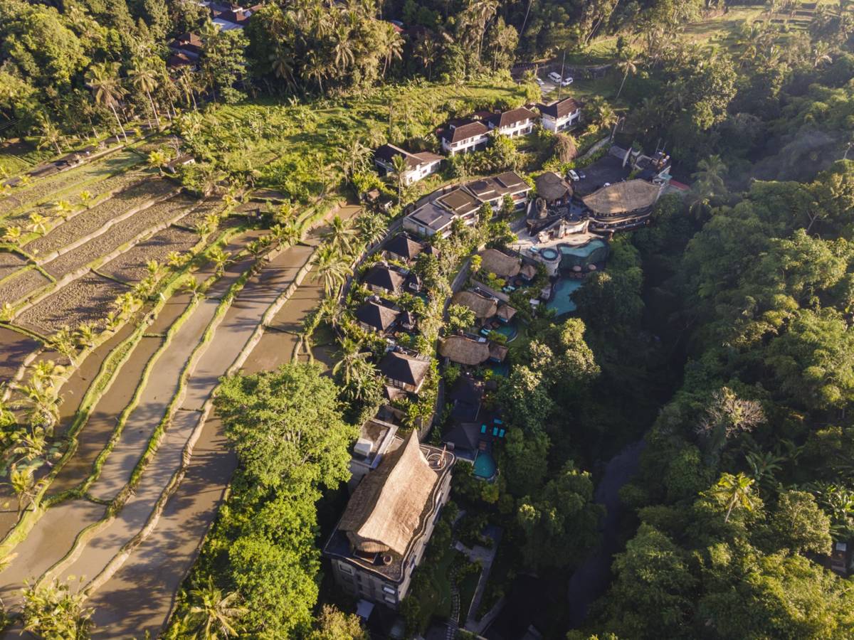 Rice terraces at the edge of the property